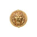 Lion Head Door Accessories - 21 cm